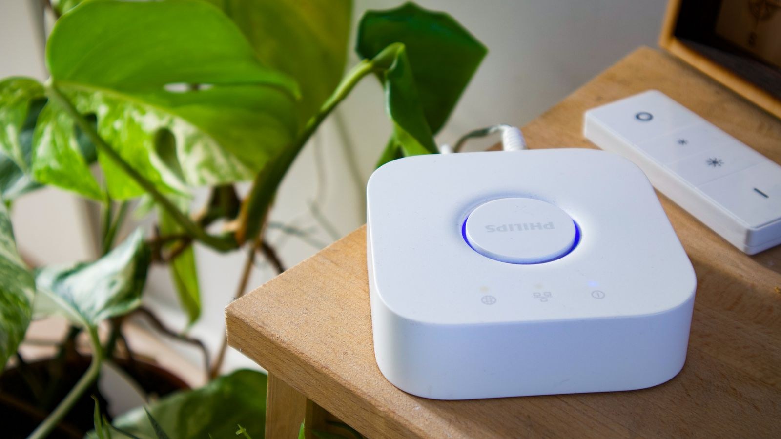 Smart home hub acting as a Thread border router on a shelf beside a plant
