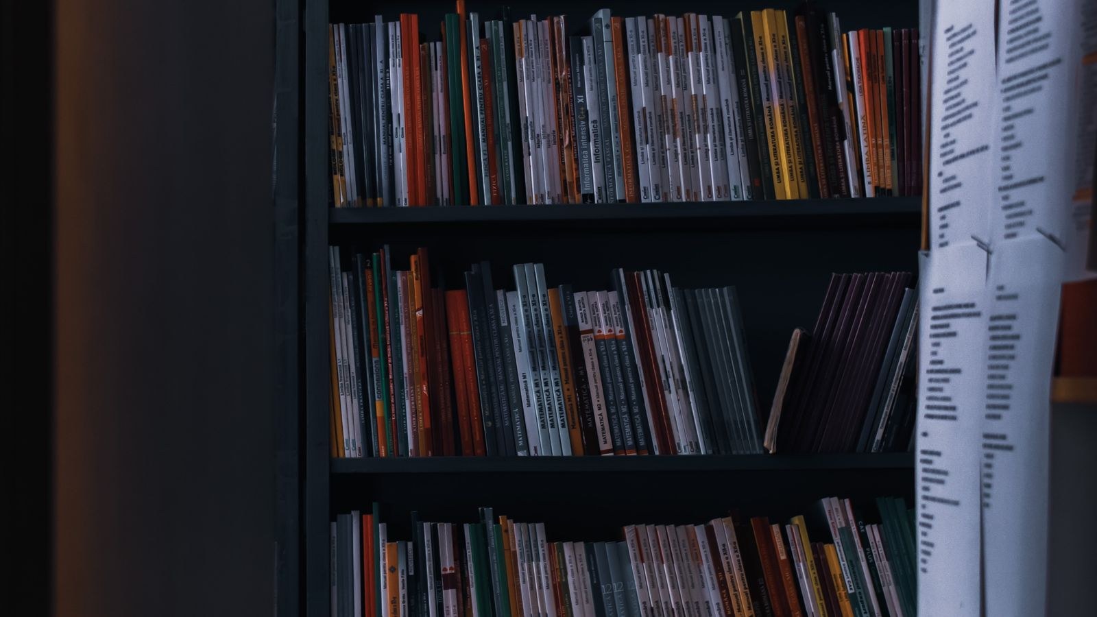 Wooden shelving unit with books and decorative objects in a bright room