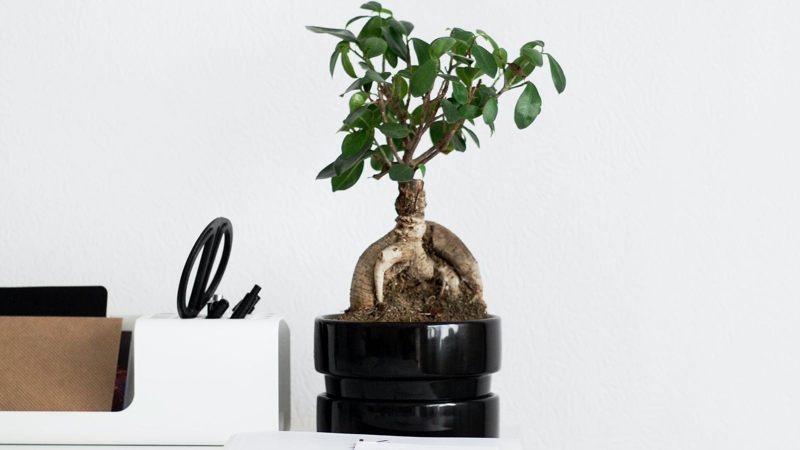 Tidy closet desk nook with a plant and clean minimal surface