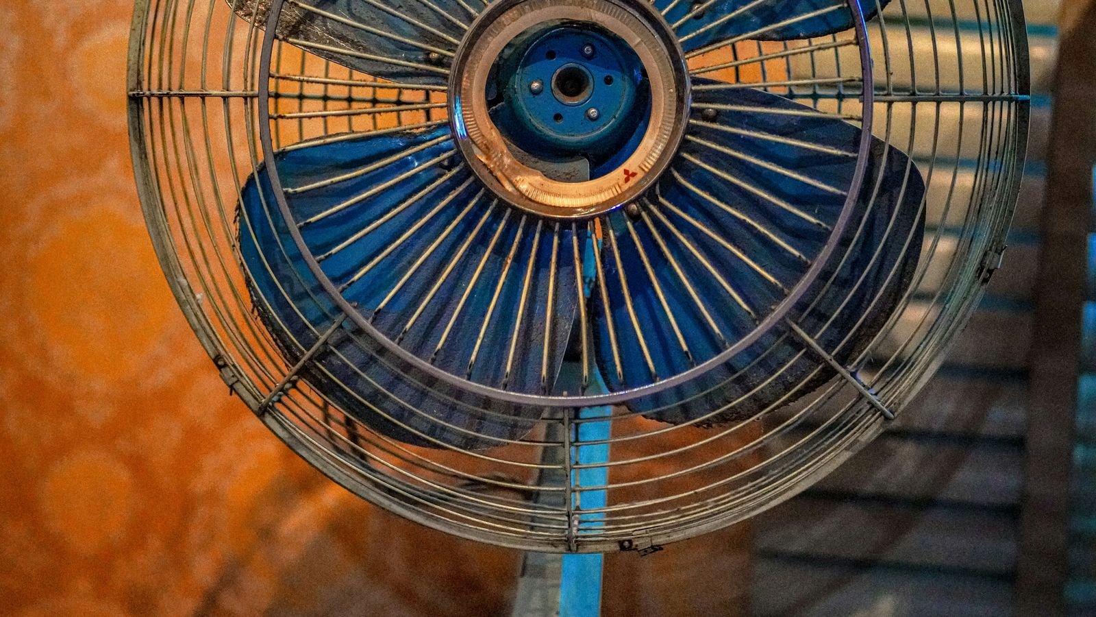 Ceiling Fans With Lights: A Combined Buying Guide