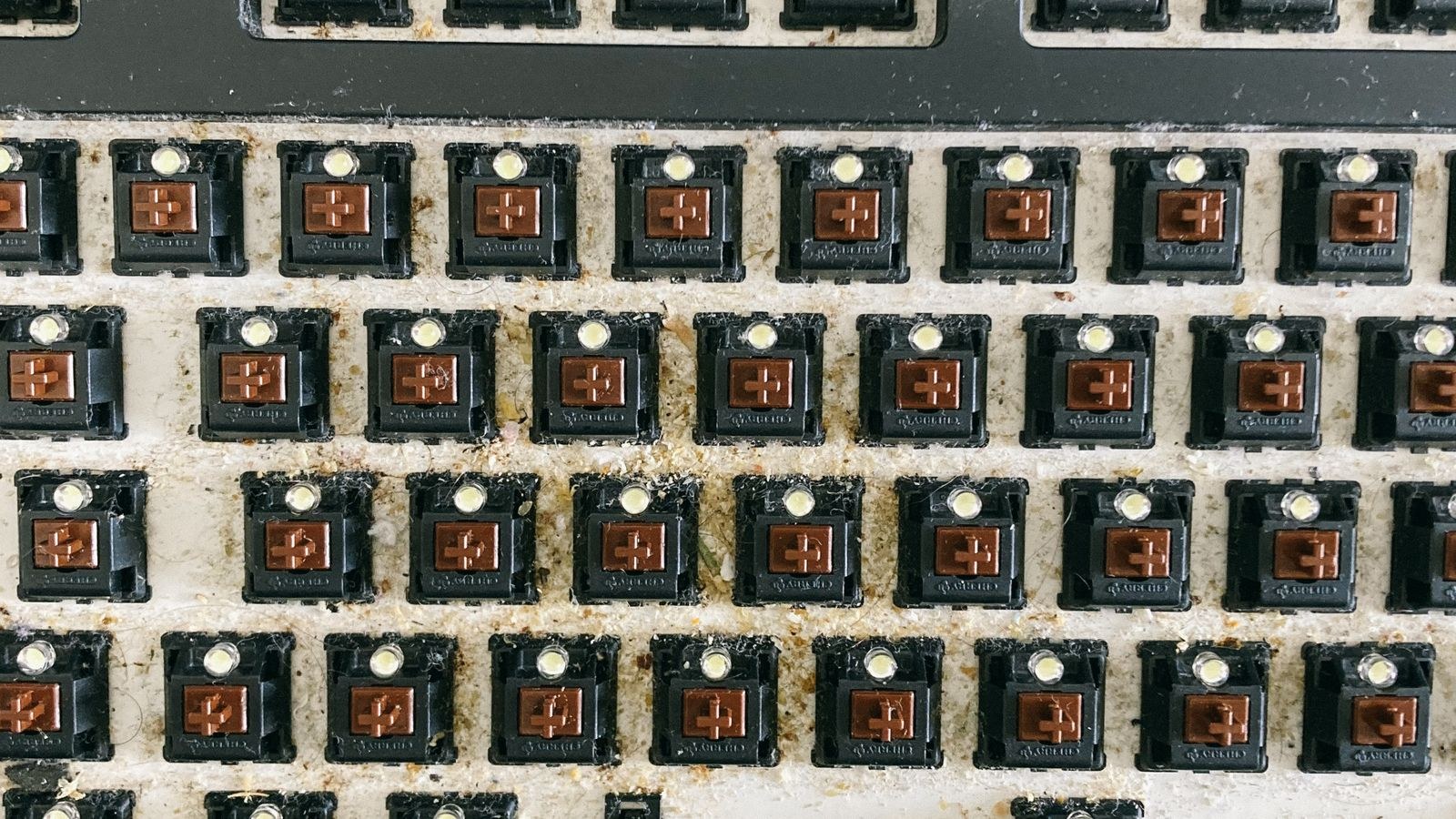 How to Clean a Mechanical Keyboard Properly