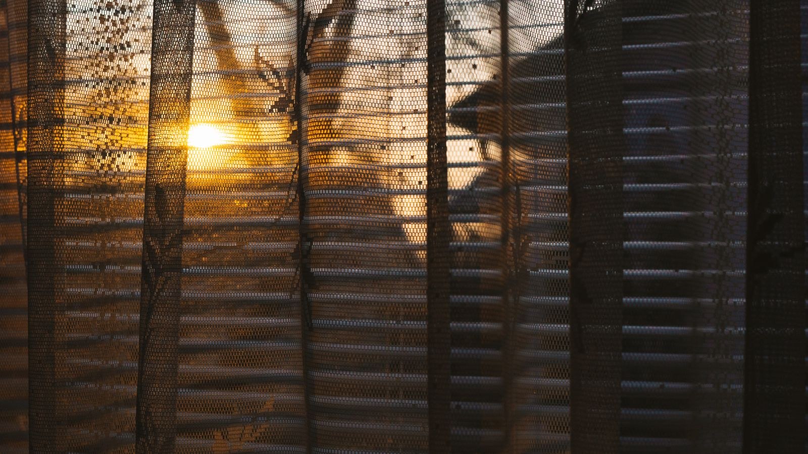 Window with roller shades and light coming through in a bright room