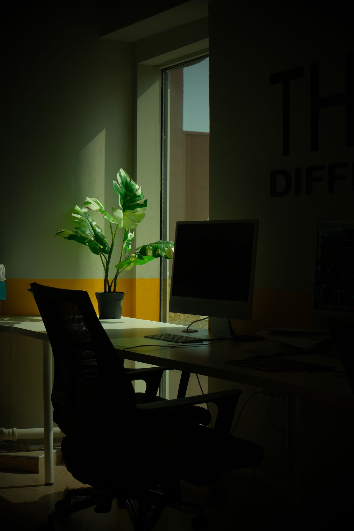 How to Adjust Your Office Chair for Proper Posture