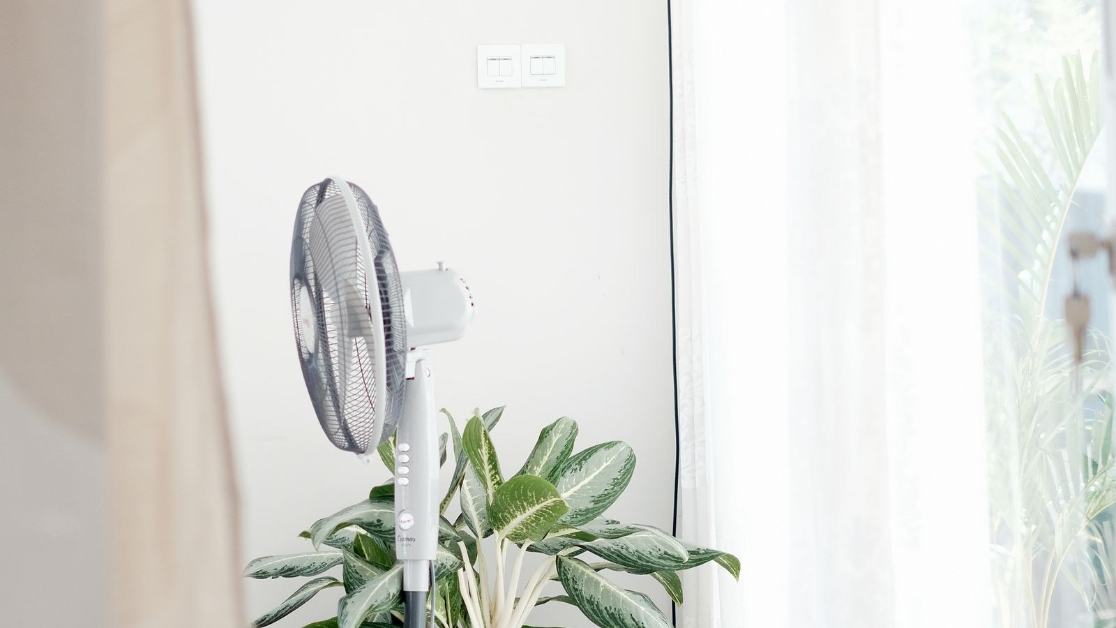 Slim tower fan standing in a bright minimalist room next to a potted plant