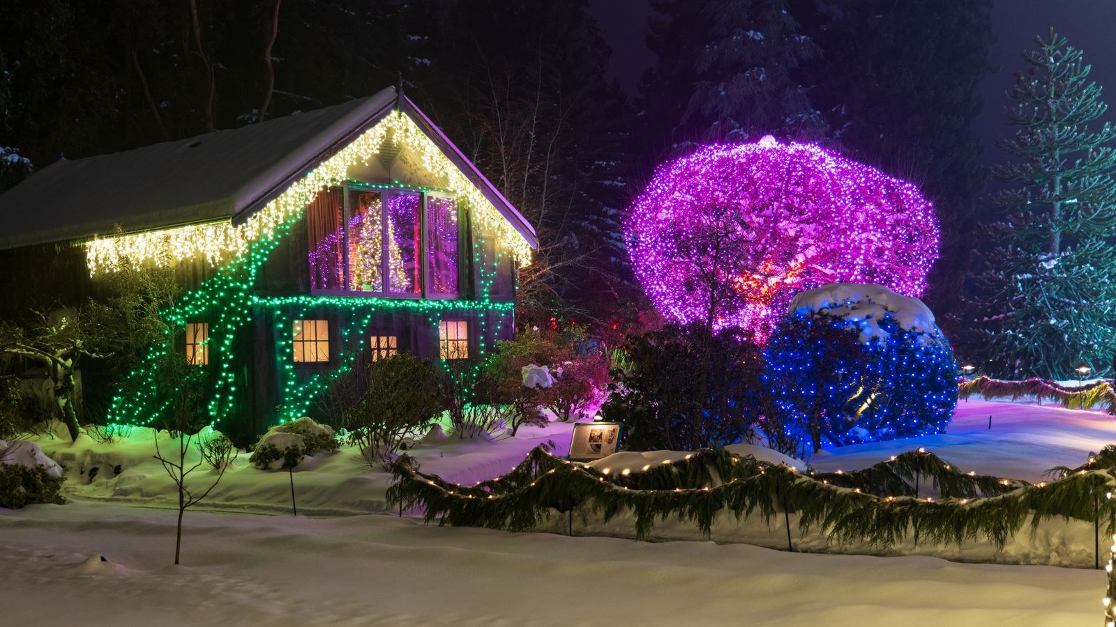 Cottage decorated with colorful Christmas lights in a snowy winter landscape