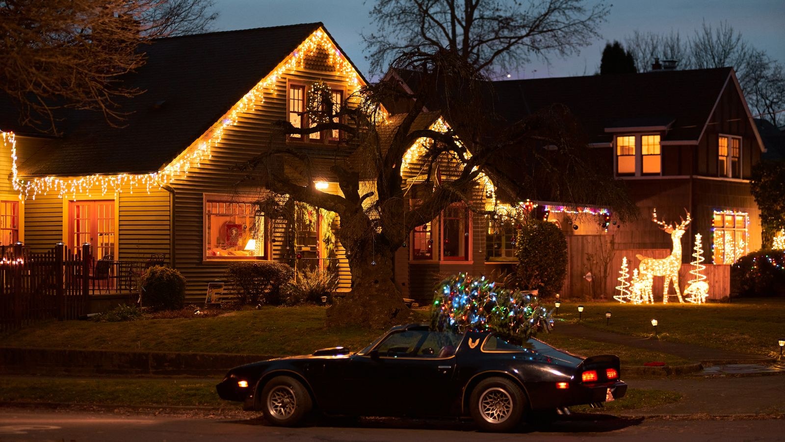 Street of houses decorated with Christmas lights at night