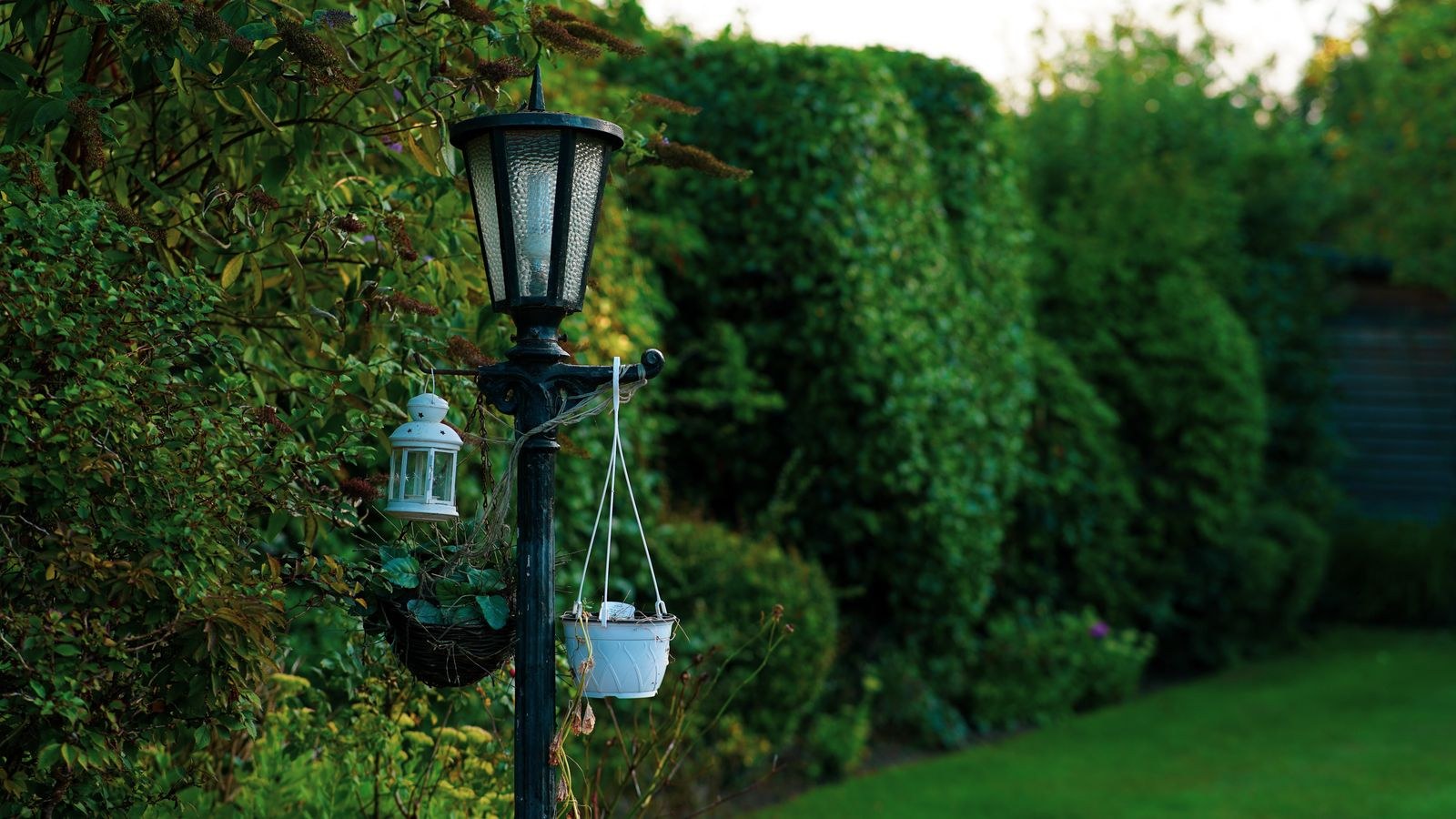 How to Install Low-Voltage Landscape Lighting