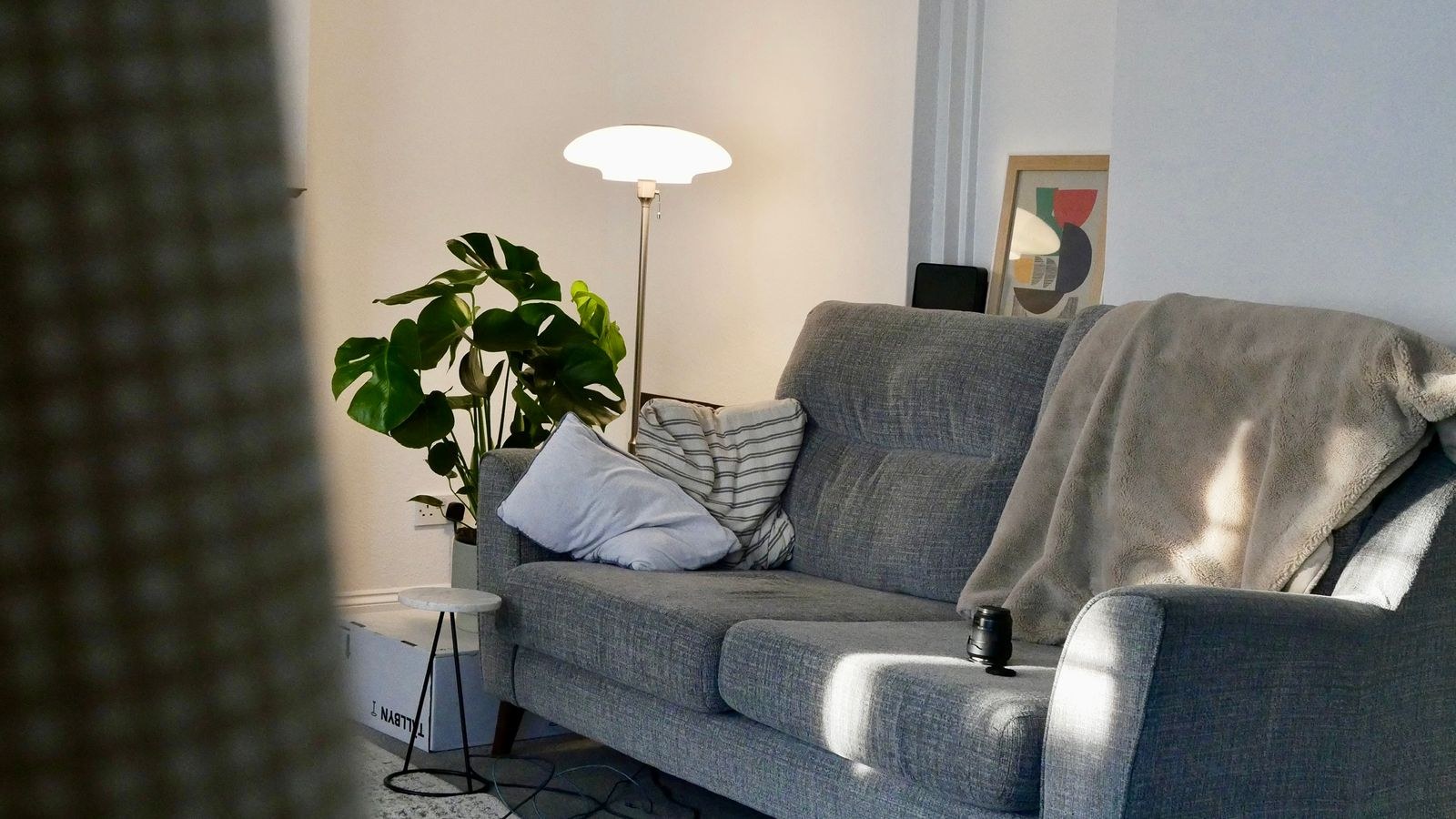 Cozy living room with grey sofa, floor lamp and indoor plant