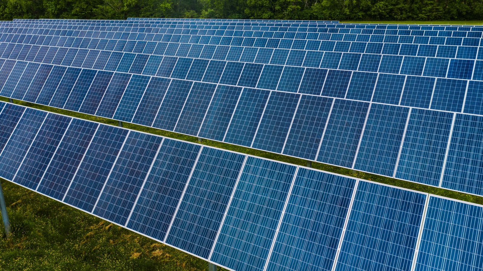 Pole mounted solar panels angled toward the sun in an open field