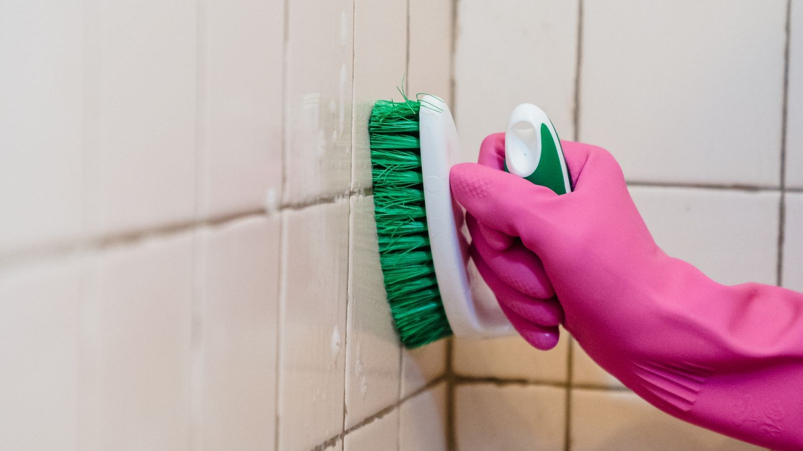 How to Prevent Mold in a Bathroom With No Window