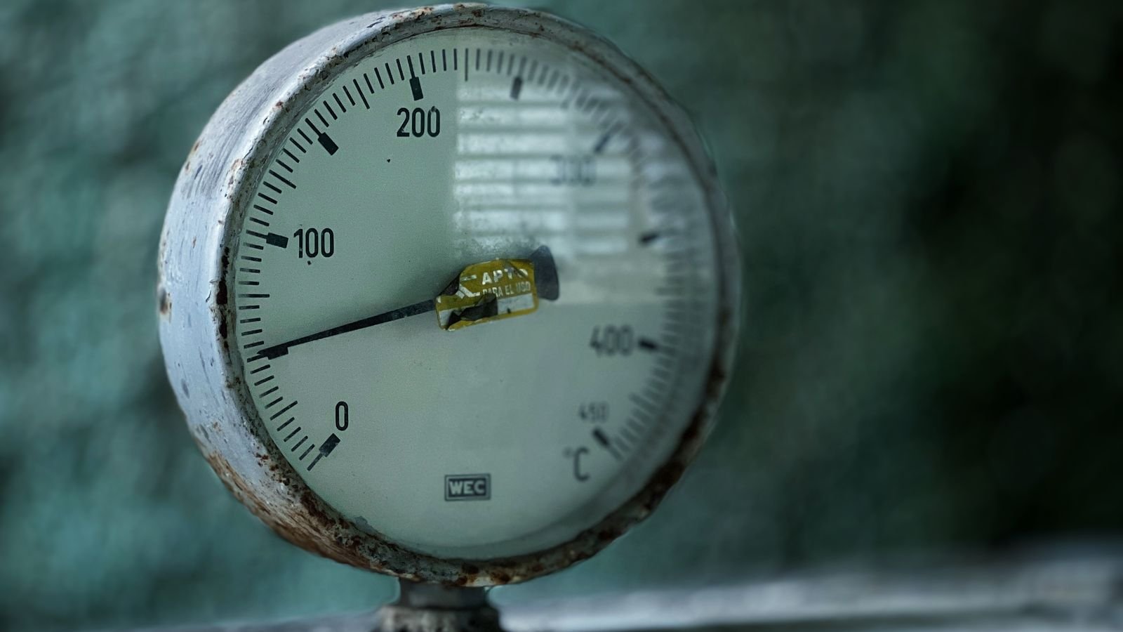 Cooked meat resting after being checked with a kitchen thermometer