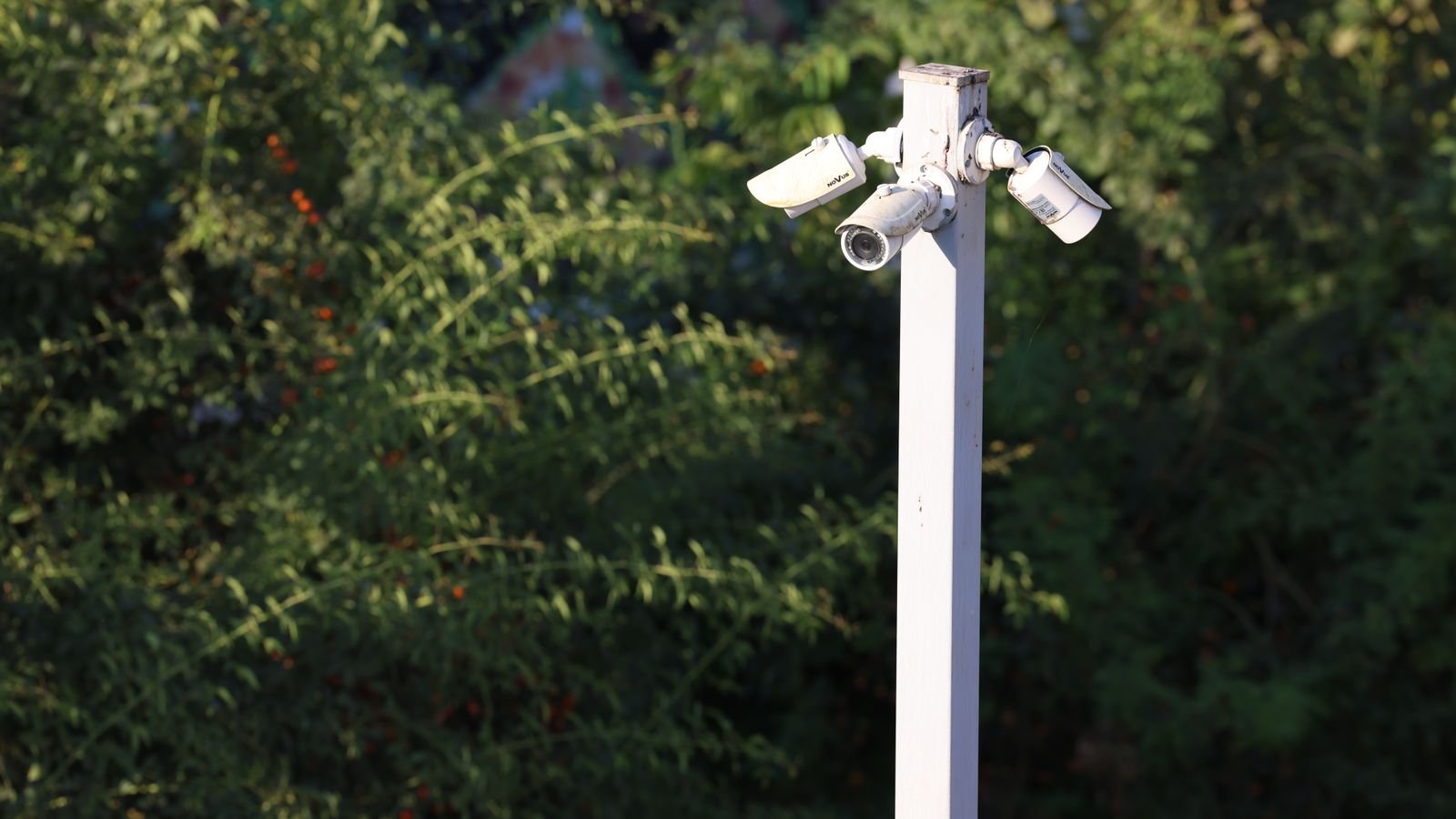How to Reduce False Alerts from a Motion-Activated Camera