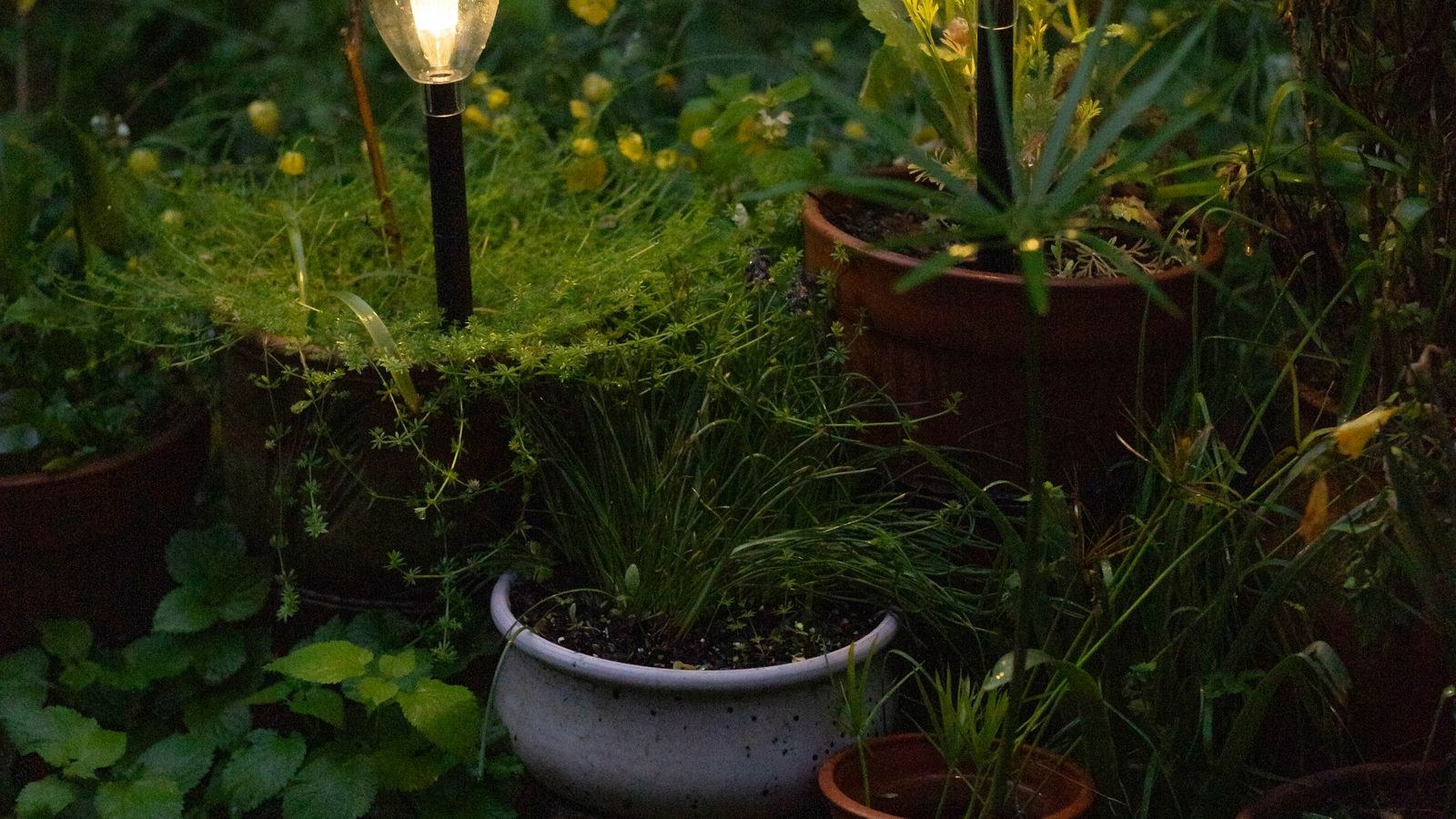 How to Replace Solar Light Batteries Step by Step