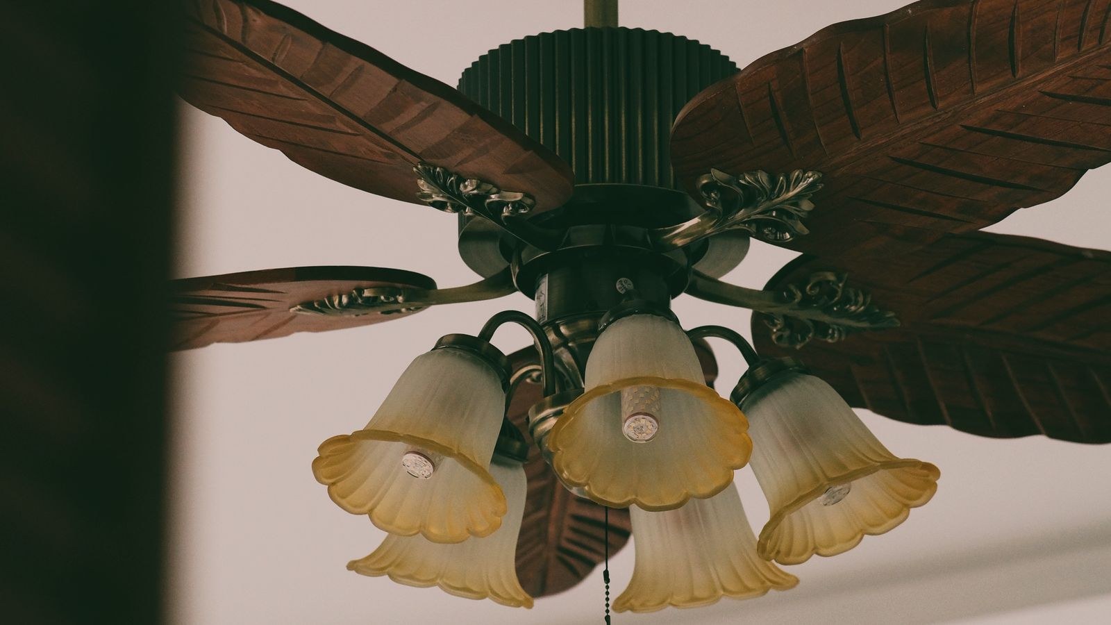 How to Set Ceiling Fan Direction for Summer and Winter