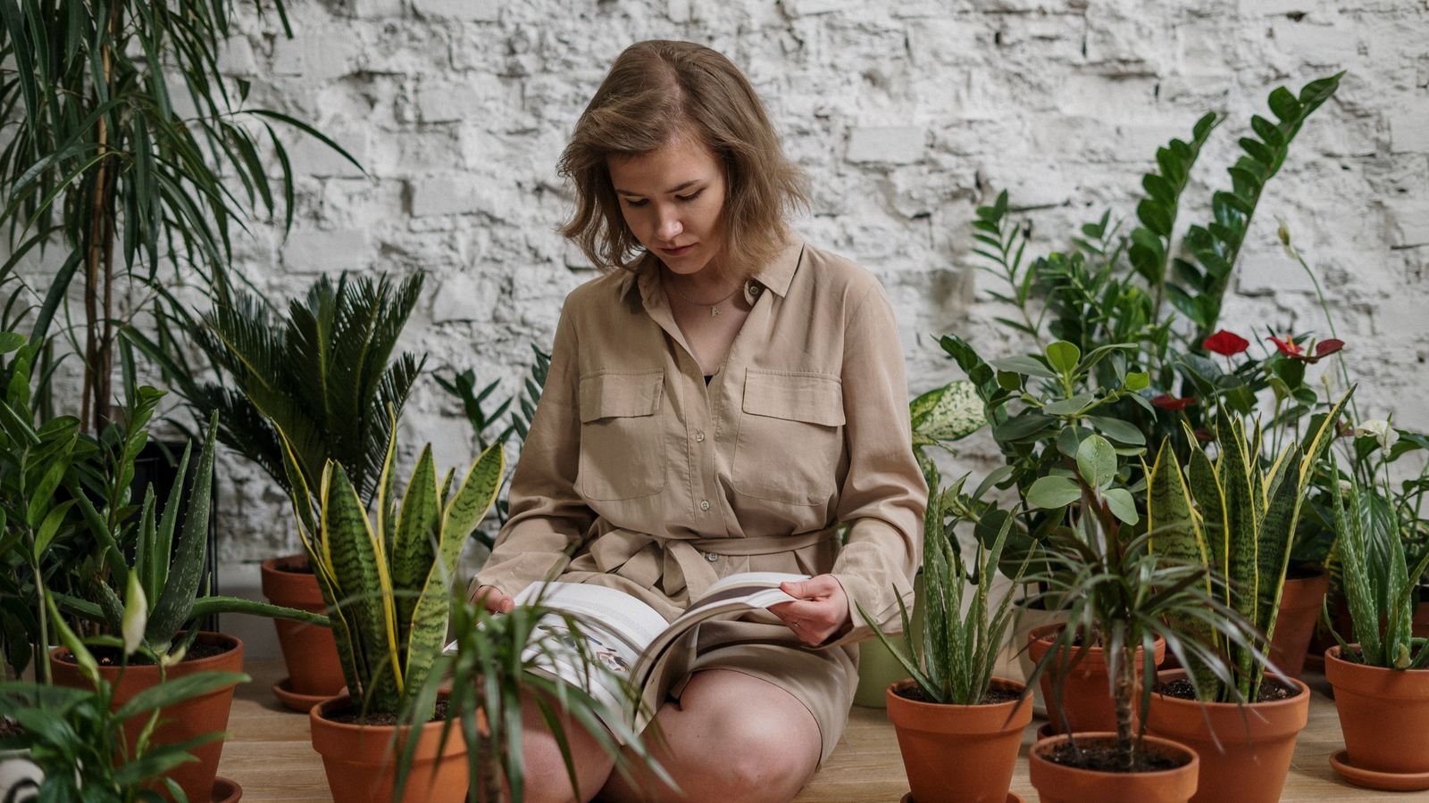 Person adjusting a plug-in timer for an indoor plant grow light setup