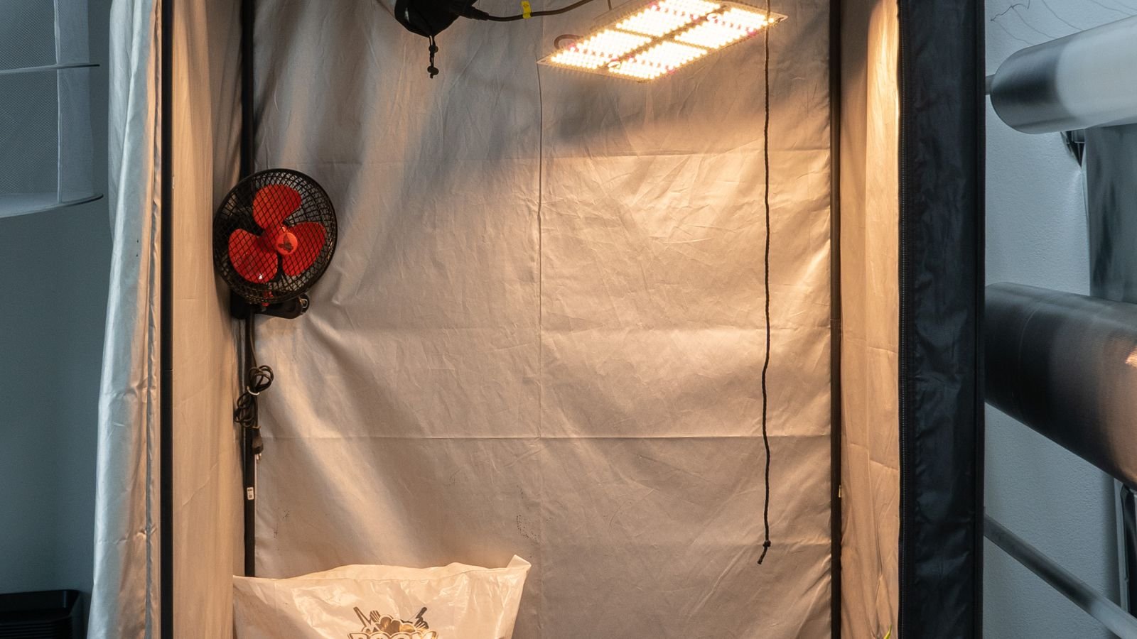 How to Set Up Grow Lights for Indoor Plants at Home
