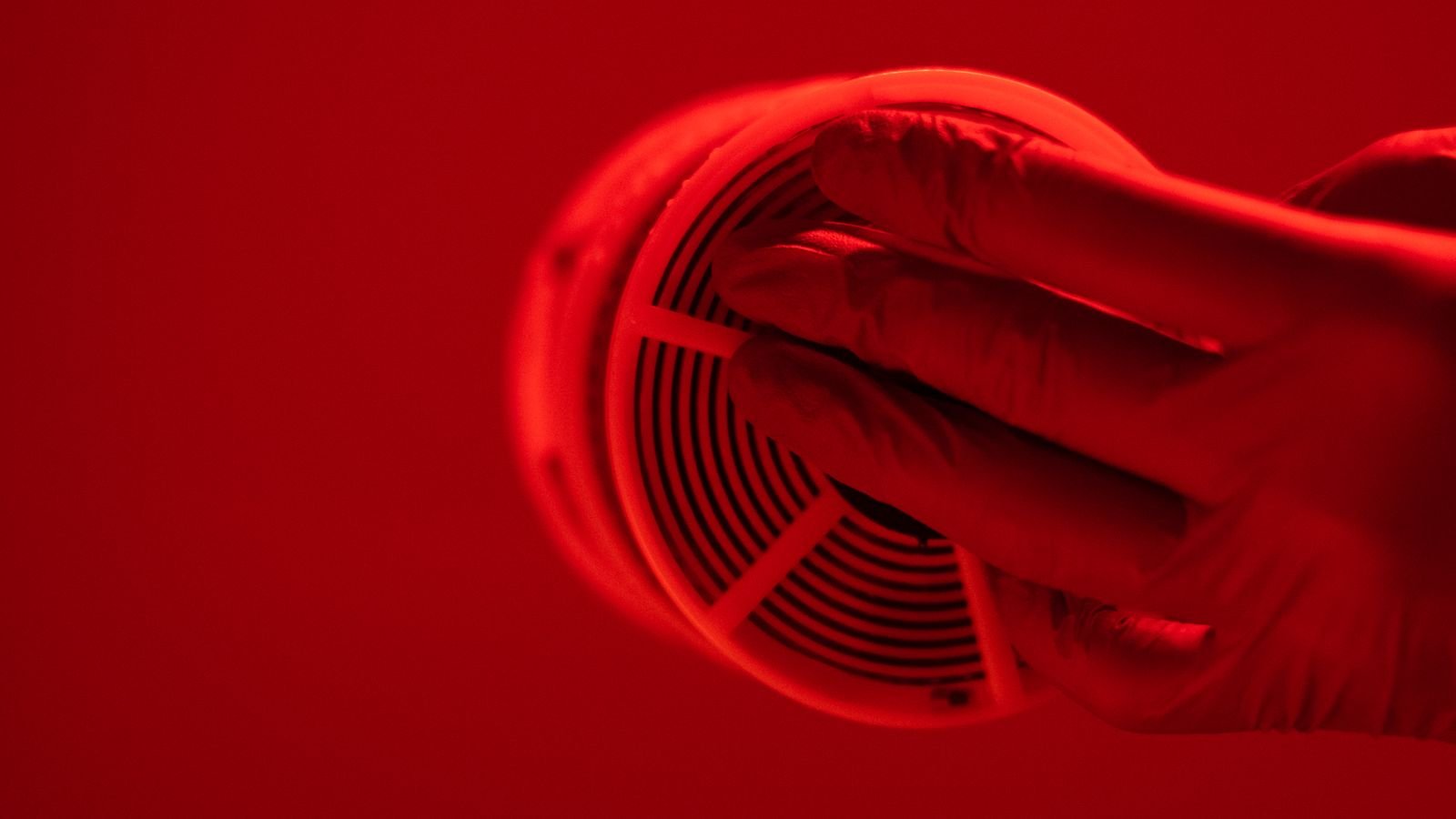 How to Silence a False Smoke Alarm Without the Battery