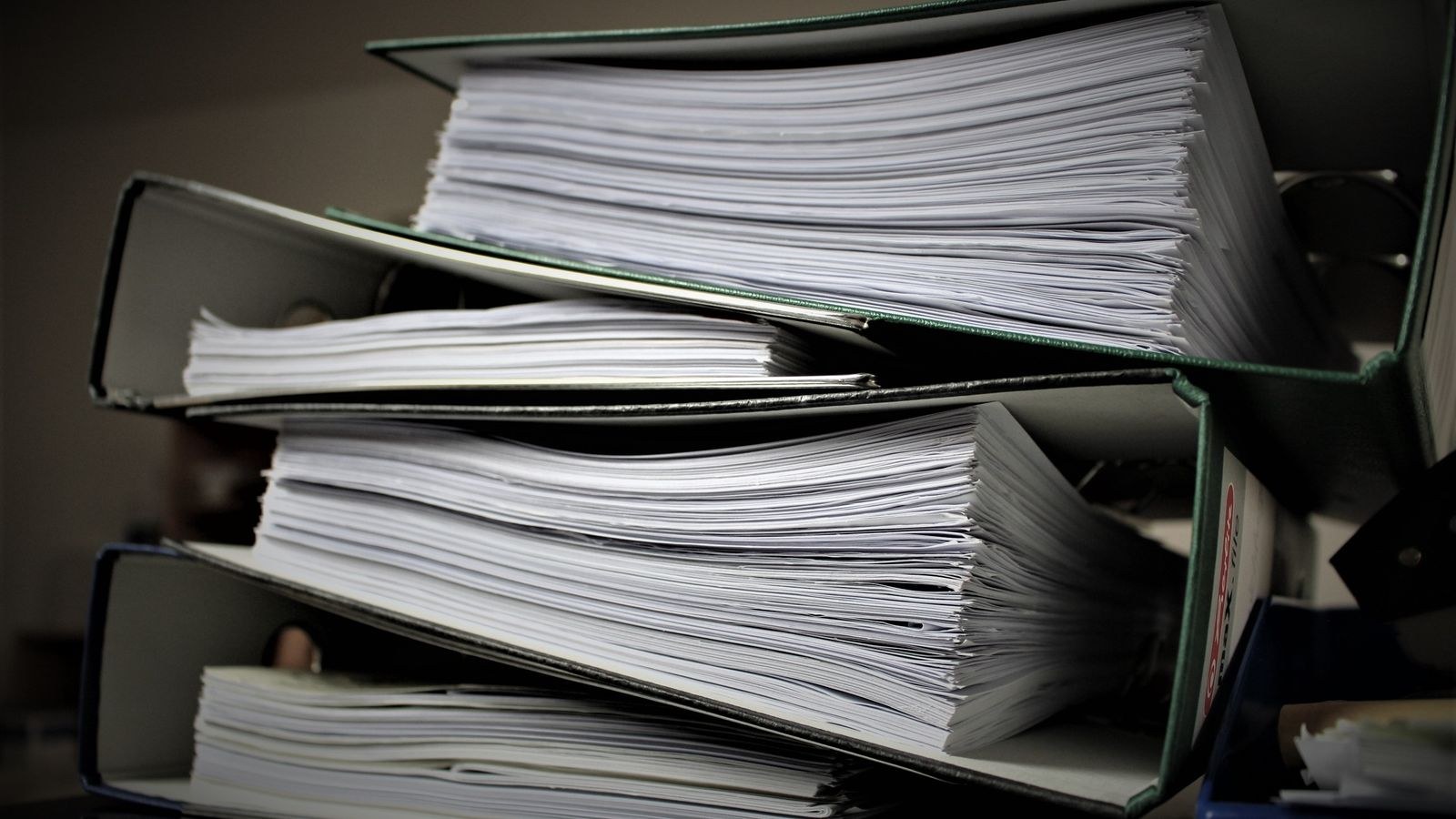 Binders and folders filled with organised paperwork on office shelving