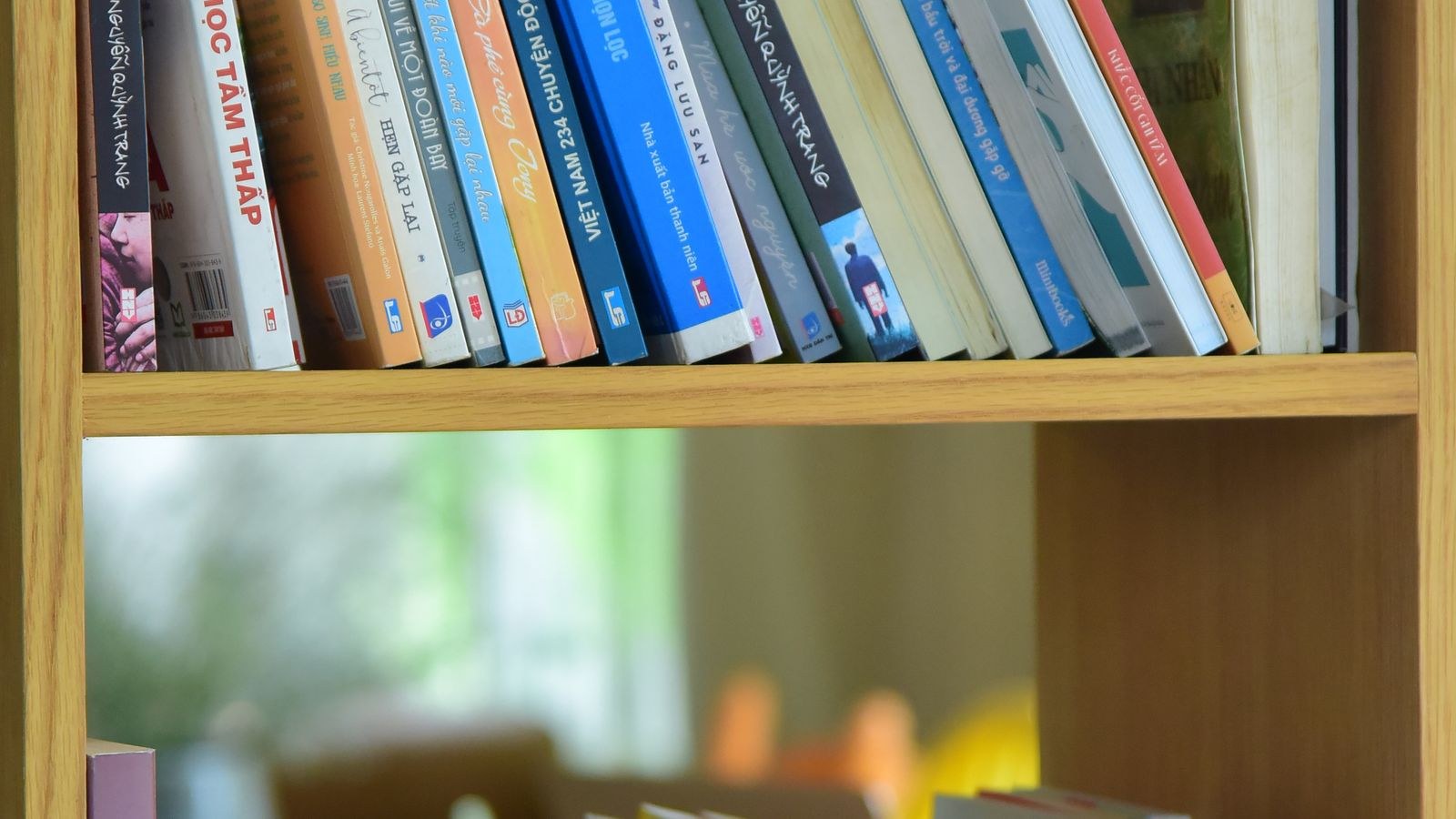 Wooden bookshelf filled with books in a bright well-lit room