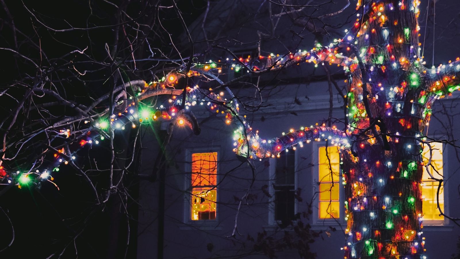 Lit tree brightening a house facade in a festive night scene