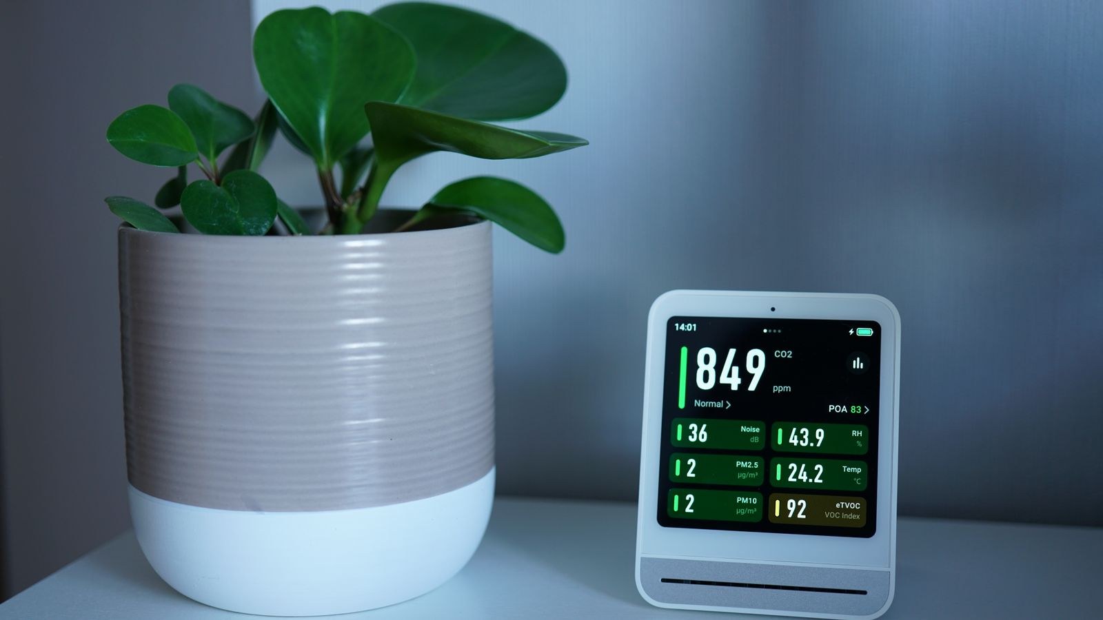 Ideal Indoor Humidity Level by Season: A Full Guide
