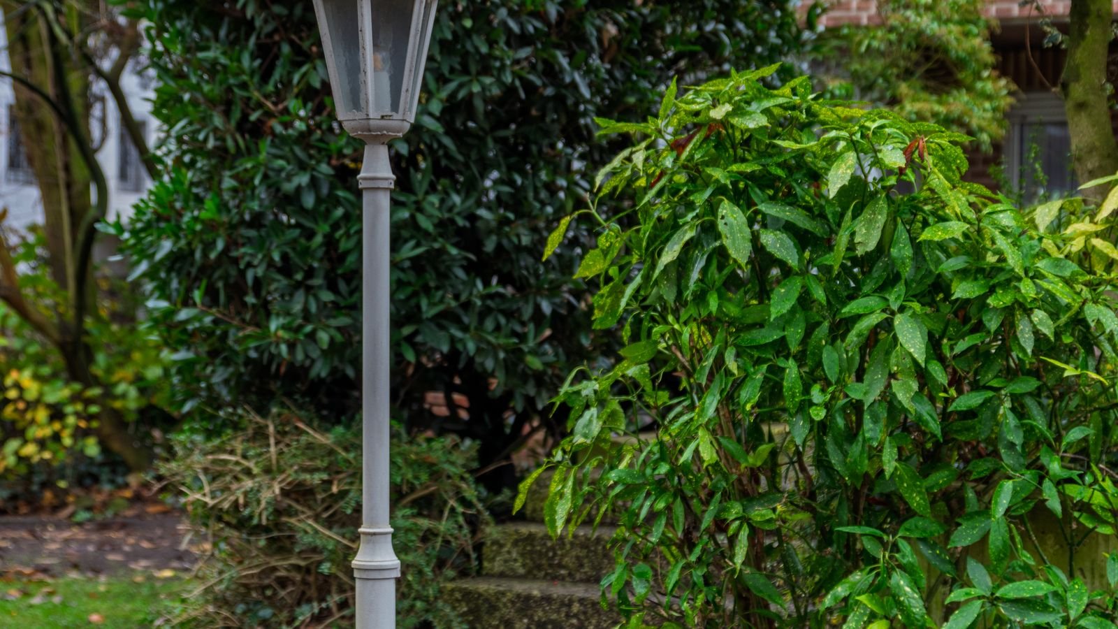 Illuminated garden pathway with a classic lamp post among green shrubs at dusk