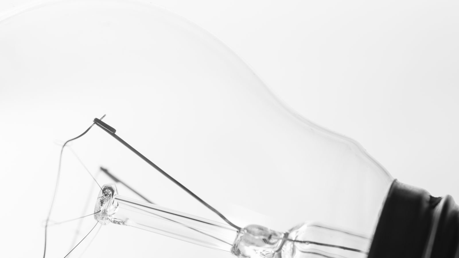 Warm and cool white light bulbs compared side by side