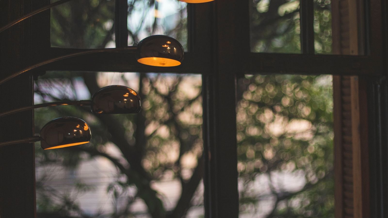 Row of daylight LED bulbs producing crisp white light indoors