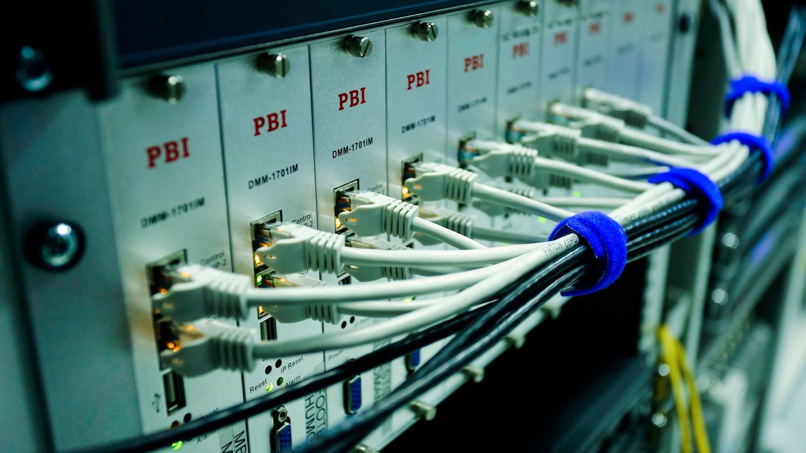Close up of Ethernet cables plugged into a managed switch panel