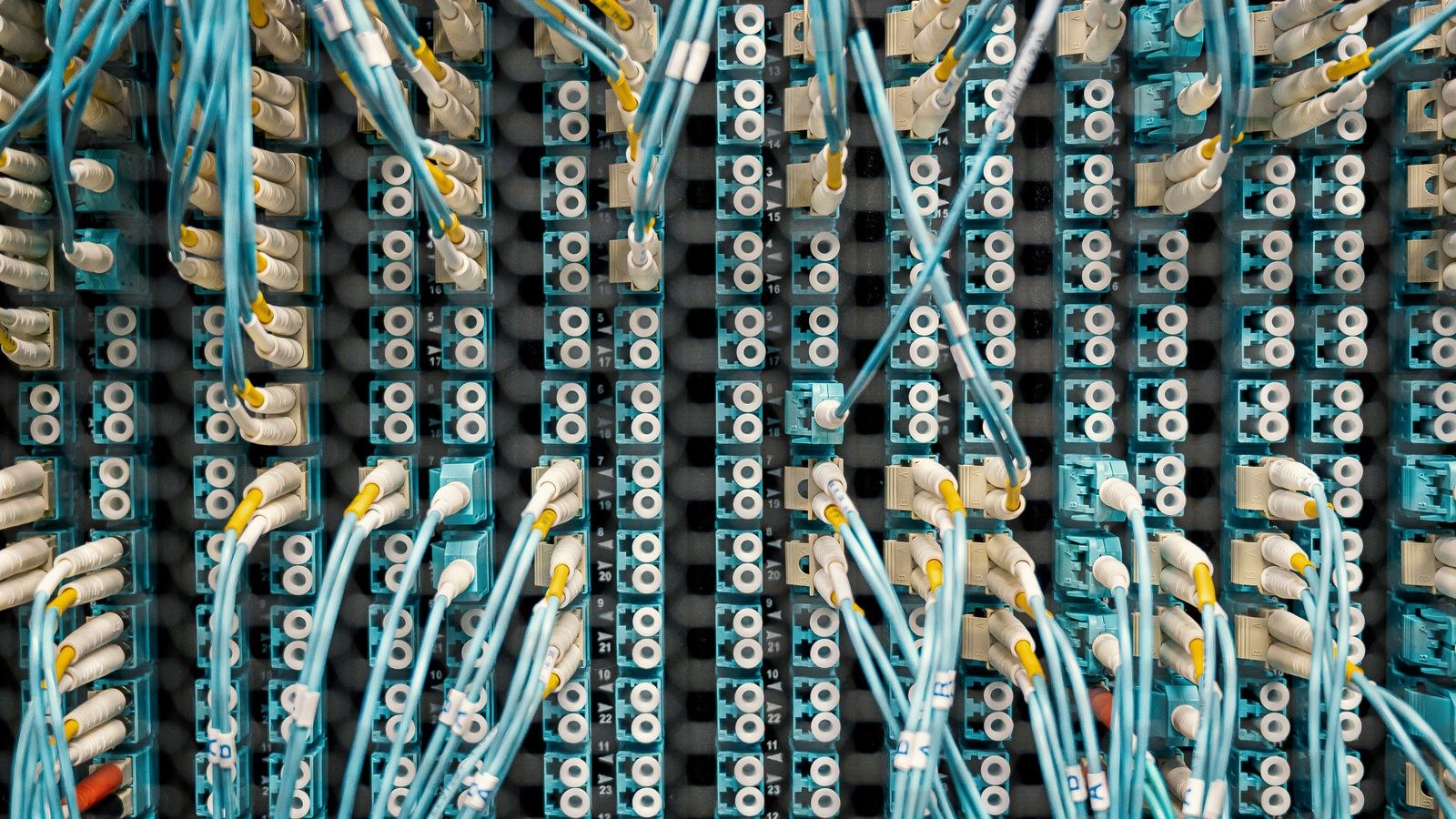 Fibre optic and network cables connected to ports in a data server