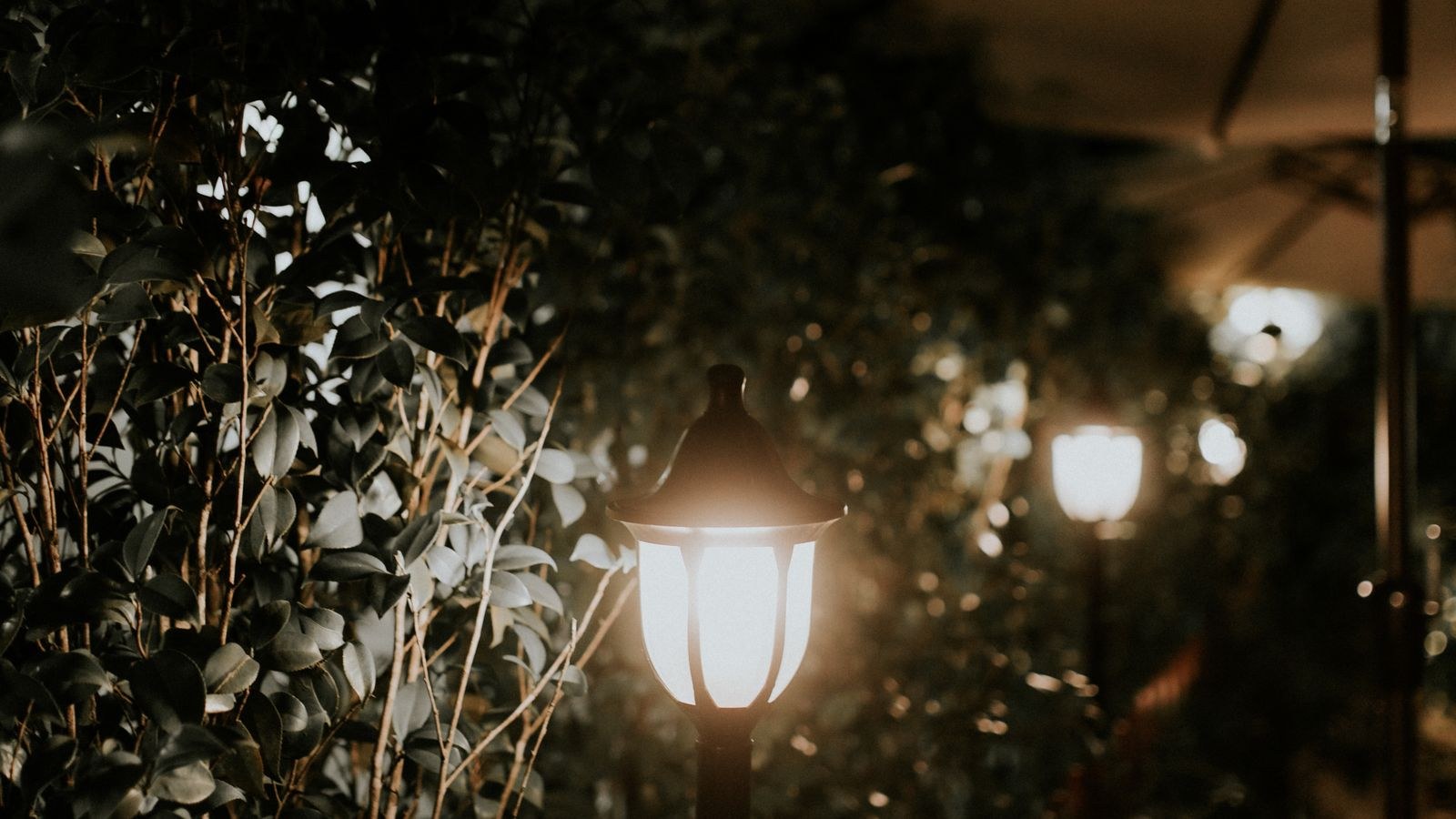 Illuminated garden pathway with lanterns and shrubs at night