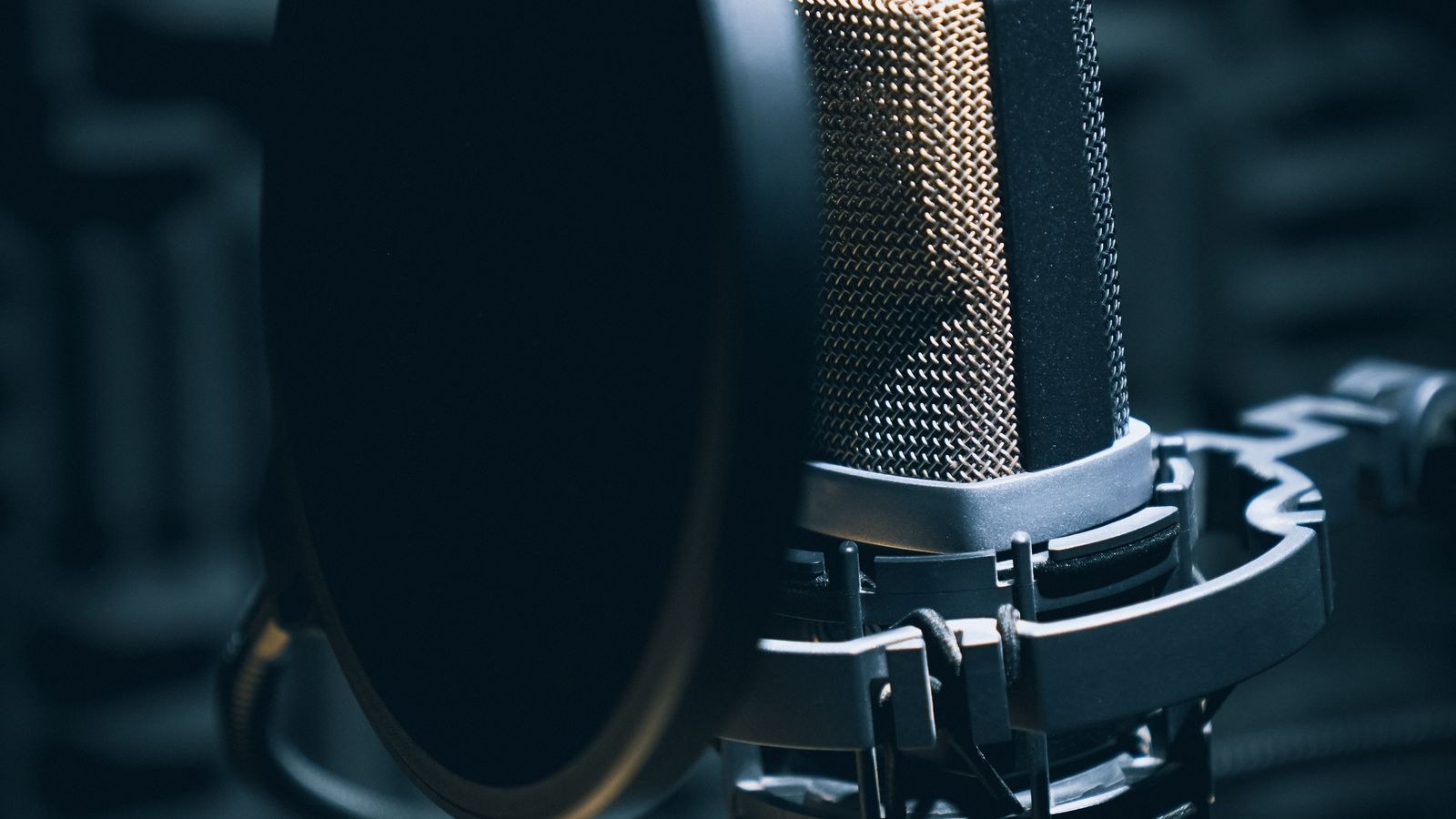 Professional microphone with pop filter set up in a soundproof studio