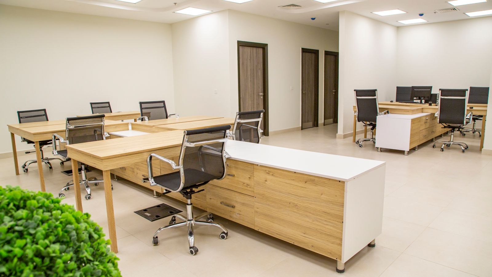 Row of durable office chairs and wooden desks in a spacious office