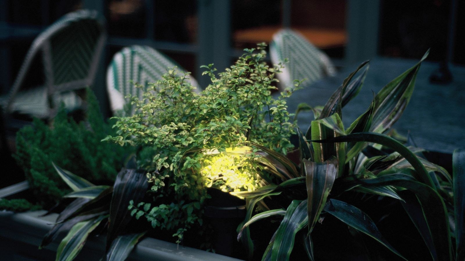 Smart outdoor lighting illuminating a patio and garden path at dusk