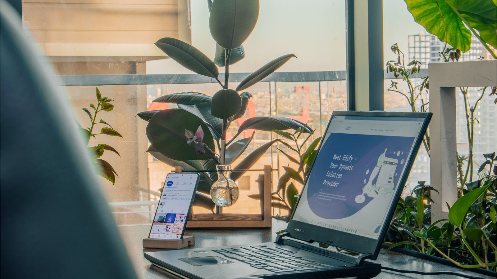 Contemporary desk setup with a laptop and plants lit by natural daylight