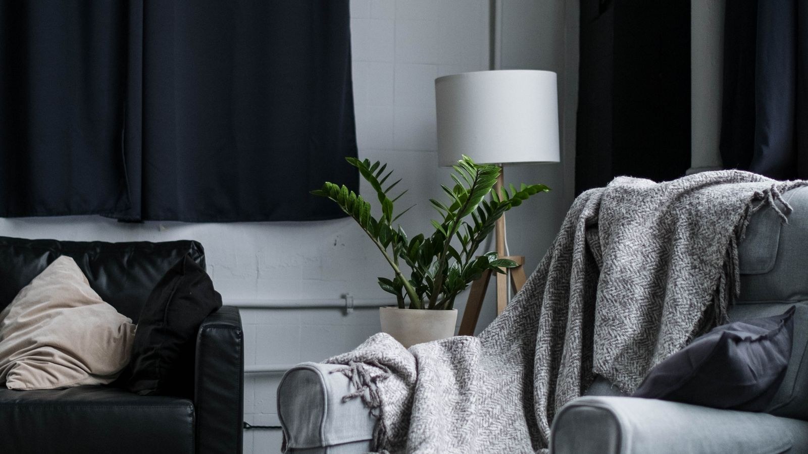 Grey armchair and black sofa in a modern living room with an indoor plant