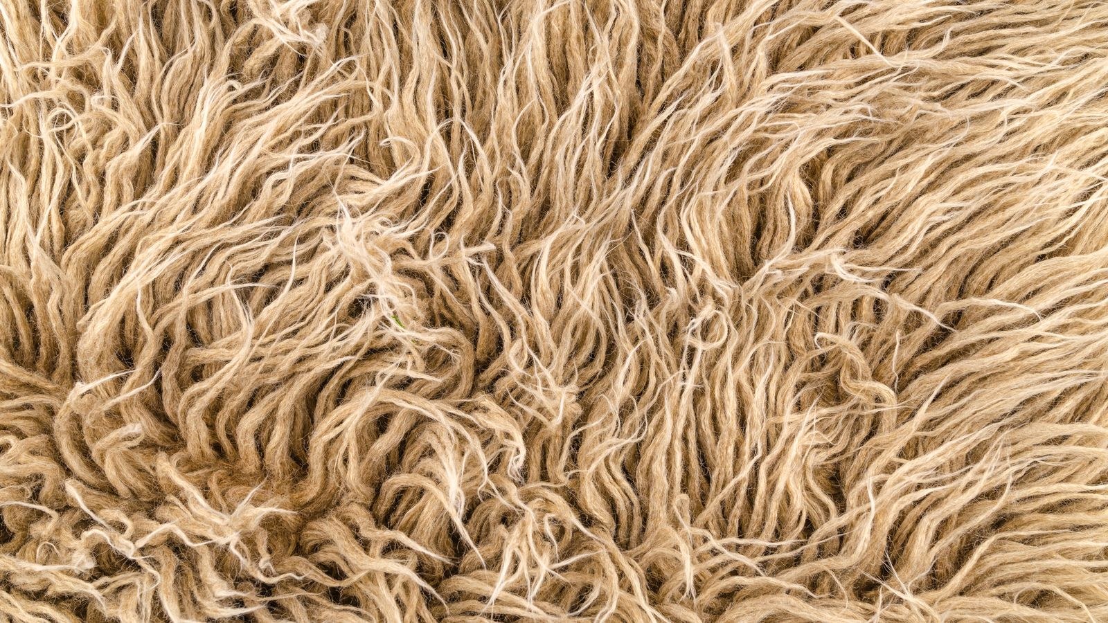 Rug Material Guide: Wool vs Jute vs Synthetic