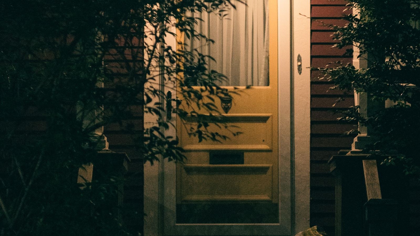 Warmly lit doorway surrounded by plants at night for home security