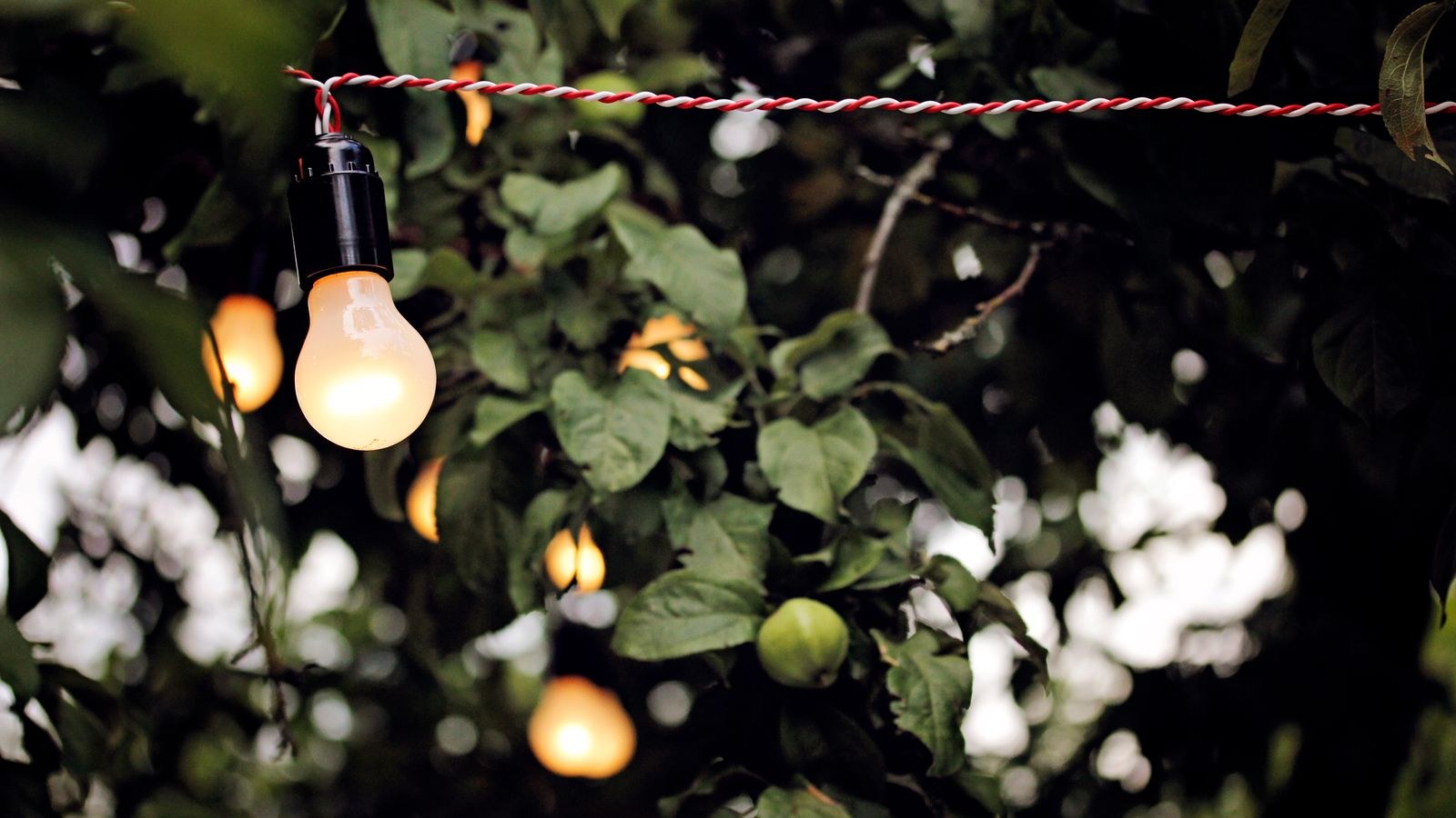 How to Set Up an Outdoor Smart Plug for Yard Lights