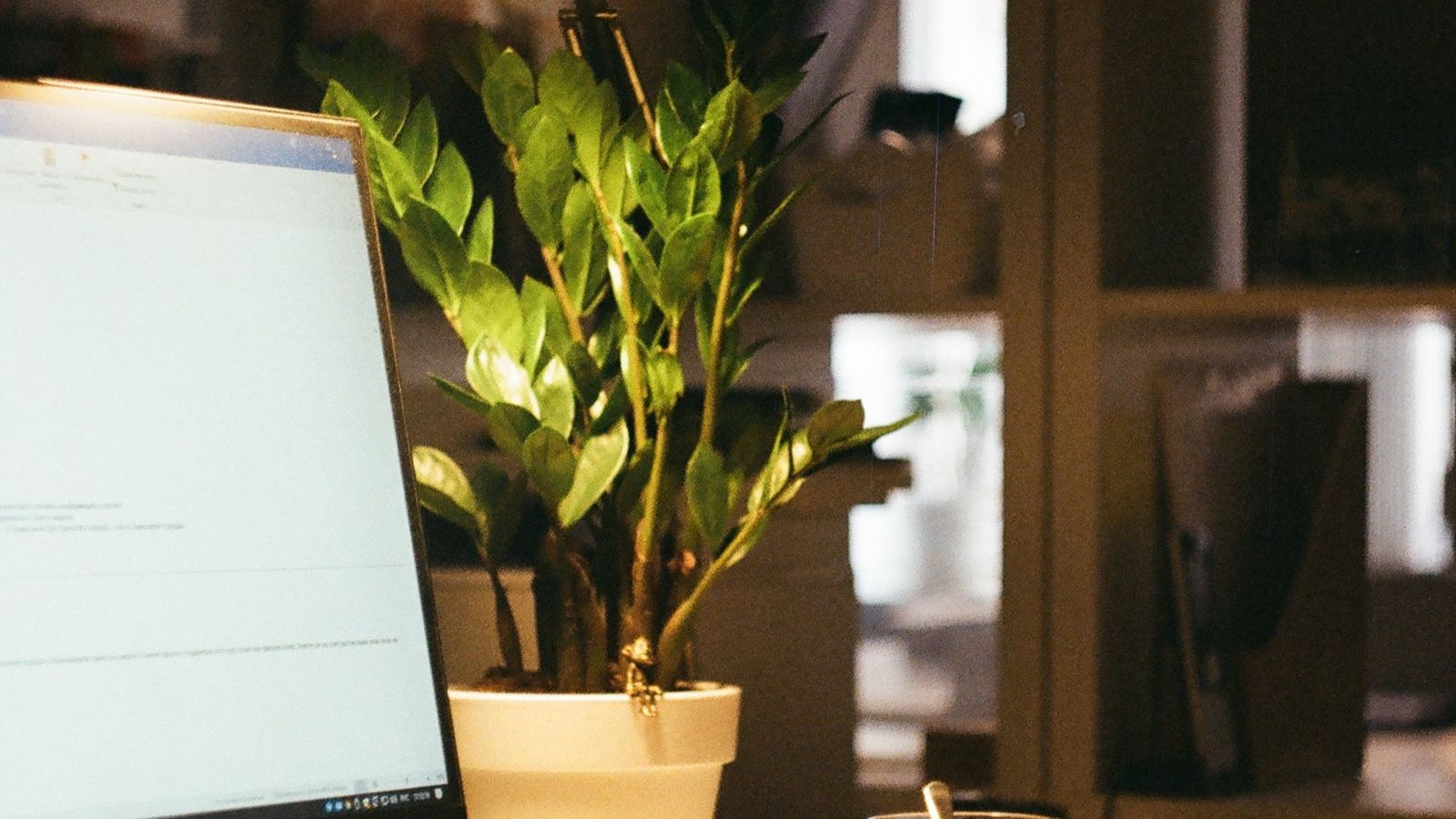 Home office desk setup with a standing desk converter and ergonomic accessories