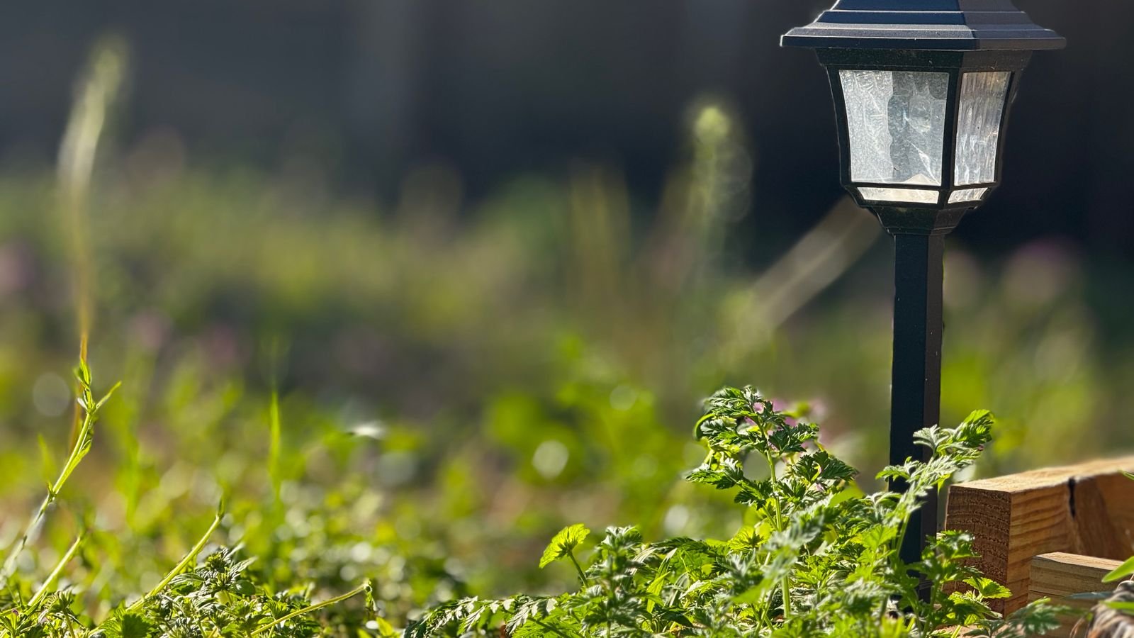 Solar powered outdoor light fixture mounted in a garden
