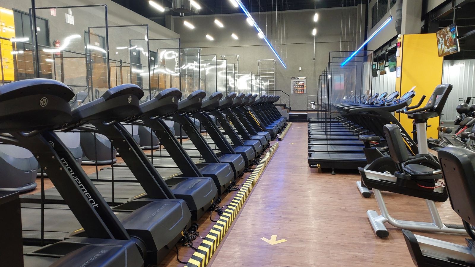 Row of treadmills in a modern gym with large windows