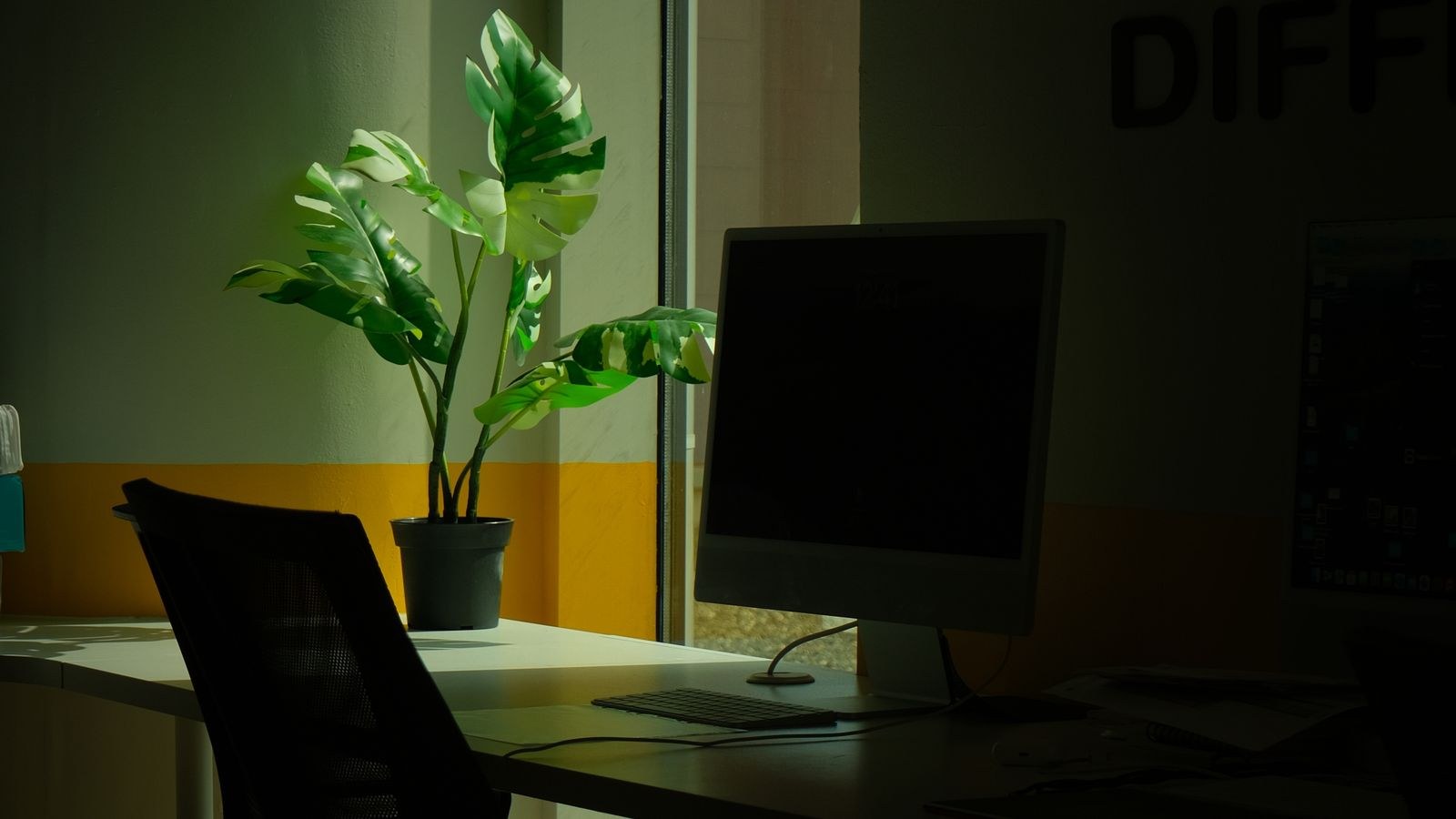 Minimalist workspace with desk, monitor and plant on a hardwood floor