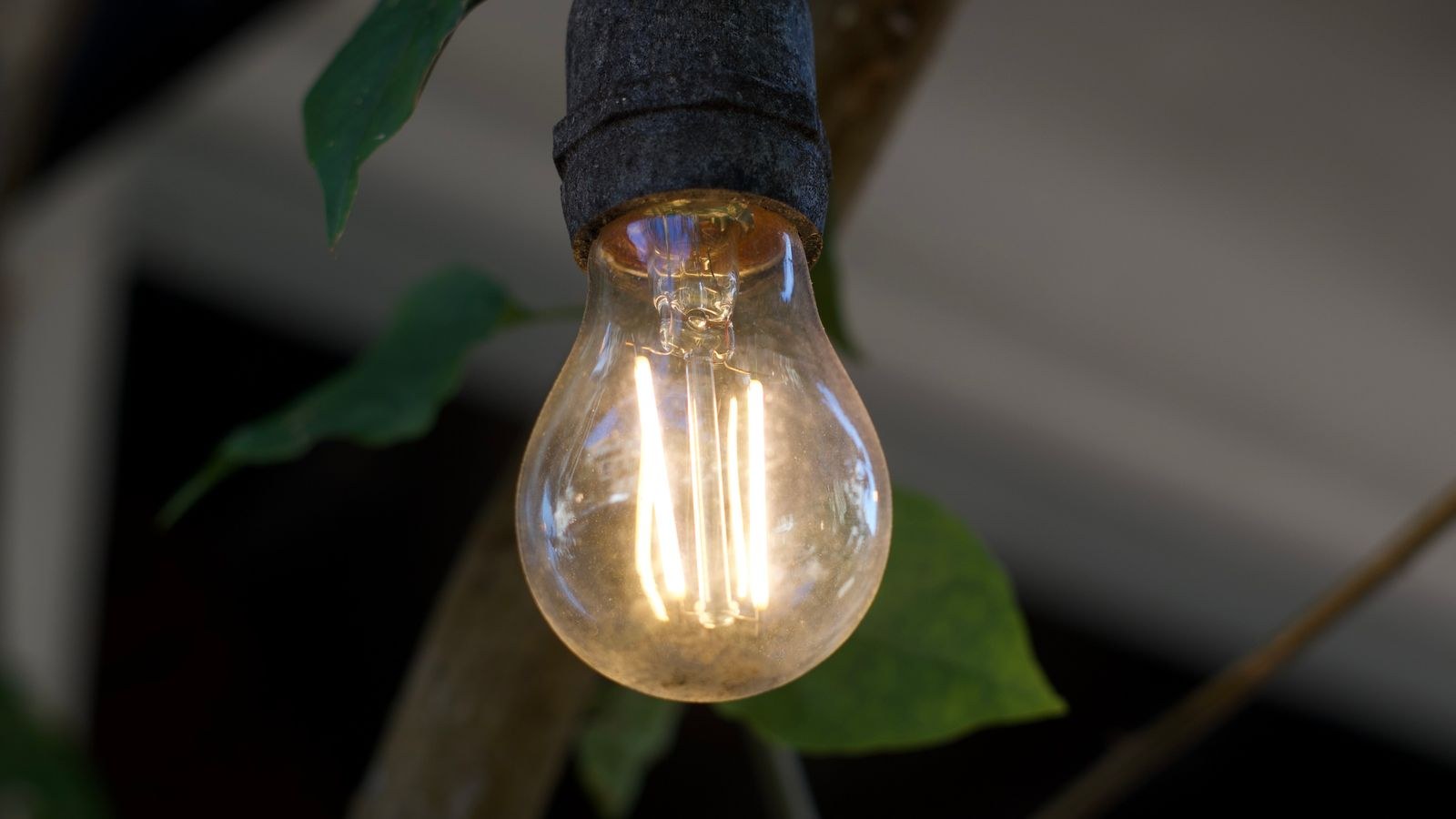 Close up of a warm filament bulb on an outdoor string light strand