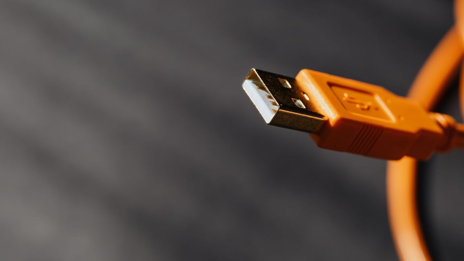Close up of USB-C cable connectors and charging accessories