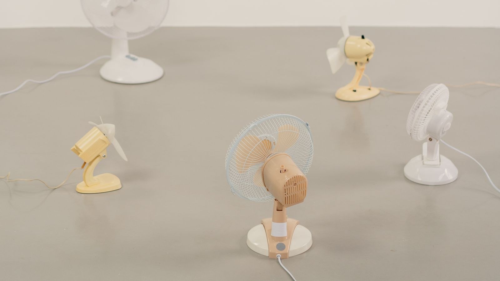 Several compact desk and floor fans arranged on a neutral surface