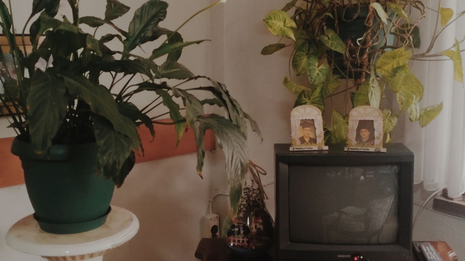 Wooden media console with storage below a wall mounted television