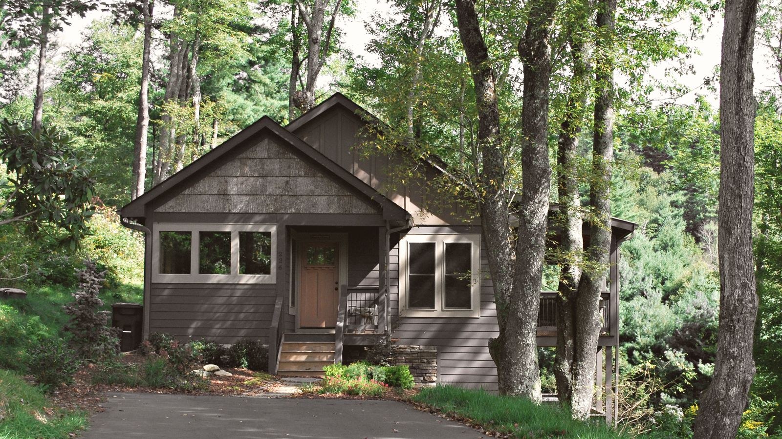 Vacation cottage surrounded by trees in a remote setting