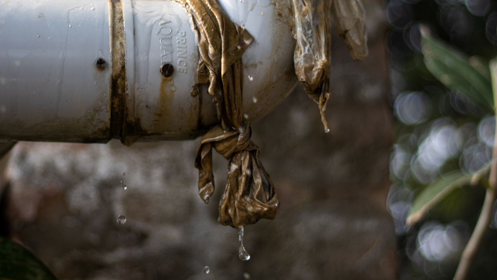 Water Leak Detectors: 2026 Buying Guide for Any Home
